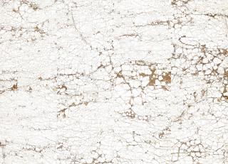 Фото - Обои Nlxl Lab3 - 340583>