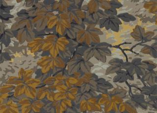 Фото - Обои Zoffany Darnley Wallpapers - 390227>