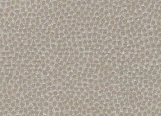 Фото - Обои Arlin Ambrosia - 627911>