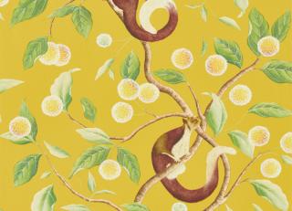 Фото - Обои Harlequin Diane Hill Wallpapers - 536083>