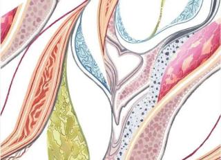 Фото - Ткани Alessandro Bini Driver - 593367>