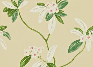 Фото - Обои Sanderson Richmond hill - 189778>