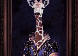 Фото - Аксессуары для интерьера Mineheart - 356194>