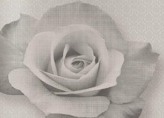 Фото - Обои Origin Park Avenue - 346244>