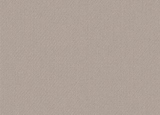 Фото - Обои Milassa Swan - 332385>