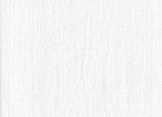 Фото - Ткани Faboie Plain VII - 575496>