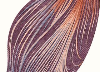 Фото - Ковры Tapis Rouge Elettrico - 590032>