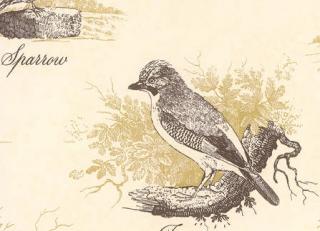 Фото - Обои Lewis & Wood Classical Wallpapers - 212584>