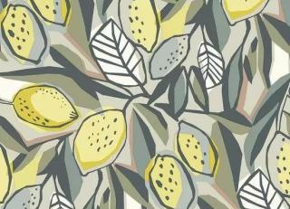 Фото - Обои Aura Happy - 558260>