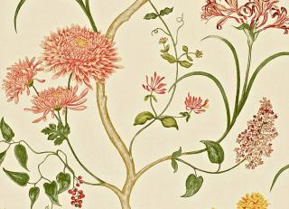Фото - Обои Sanderson A Painter's Garden - 203956>