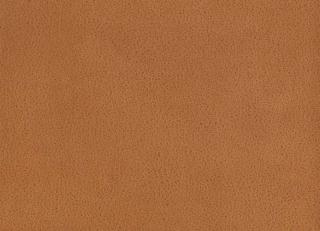 Фото - Ткани Osborne & Little Lorimer - 268611>