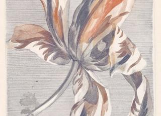 Фото - Обои Eijffinger Masterpiece - 351741>