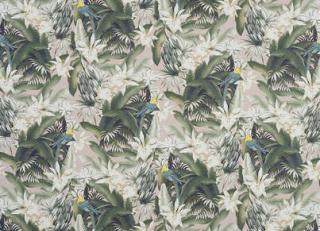 Фото - Обои Pierre Frey Rituel - 409587>