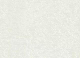 Фото - Обои Roberto Cavalli No.8 - 540544>