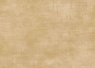 Фото - Обои Studio Eight Trinidad - 454795>