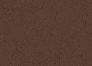 Фото - Обои Eijffinger Embrace - 579769>