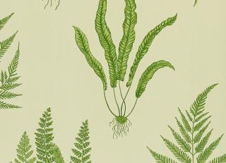 Фото - Обои с рисунками листьев - 203961>