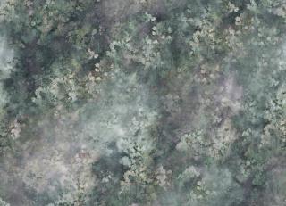 Фото - Обои Tenue de Ville Ode - 363336>