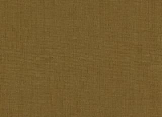 Фото - Ткани Clarke&Clarke Monsoon - 296459>