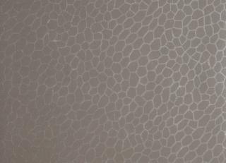 Фото - Обои Clarke&Clarke Reflections - 257228>