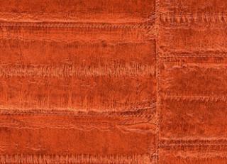 Фото - Обои Elitis Anguille - 257756>