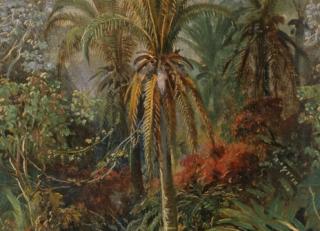 Фото - Обои Pierre Frey Galerie 2 - 468481>