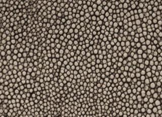 Фото - Аксессуары Pavoni Кожа Galuchat Shagreen - 588830>