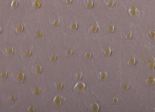 Фото - Аксессуары Pavoni Кожа Struzzo - 588924>