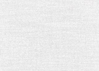 Фото - Ткани Zinc Ventus Sheers - 599865>