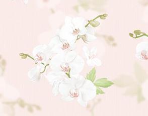 Фото - Обои Andrea Rossi Stromboli - 616531>