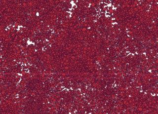 Фото - Обои Tres Tintas Wall A Porter - 198190>