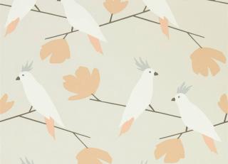 Фото - Обои Scion Esala Wallpapers - 474442>