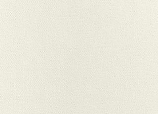 Фото - Ткани Thibaut Club Velvet - 524637>