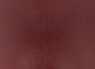 Фото - Ткани Zinc Leather Volume I - 565536>