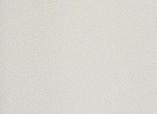 Фото - Обои Caselio Obsession - 231248>