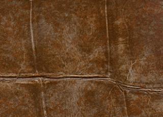 Фото - Обои Elitis Anguille Big croco Legend - 469478>