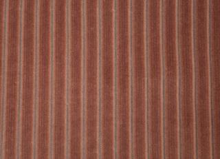 Фото - Ткани Foresti Home Collection Velluto a coste small - 563367>