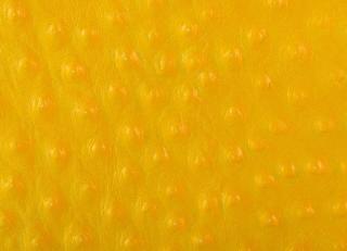 Фото - Аксессуары Pavoni Кожа Struzzo - 588921>