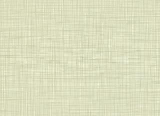 Фото - Обои Harlequin Orla Kiely - 194468>