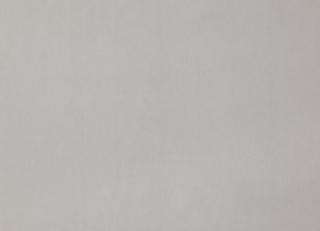 Фото - Ткани Дом CARO Plushery - 533202>