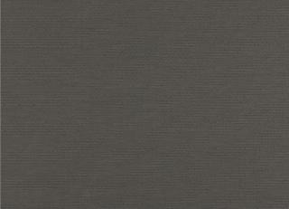 Фото - Ткани Zinc Scandal - 275038>