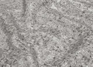 Фото - Ткани Carlucci One of a Kind - 577923>