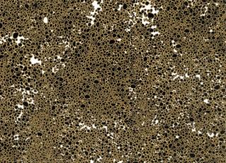 Фото - Обои Tres Tintas Wall A Porter - 198196>