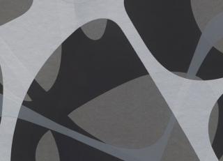 Фото - Обои Marburg Zaha Hadid Hommage - 382306>