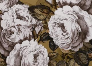 Фото - Обои Designers Guild John Derian - Picture Book - 412190>