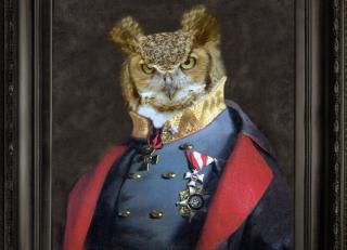 Фото - Аксессуары для интерьера Mineheart - 356185>