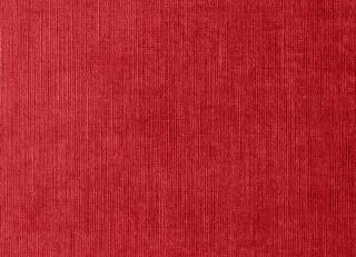 Фото - Ткани Dedar Pergamena - 548997>