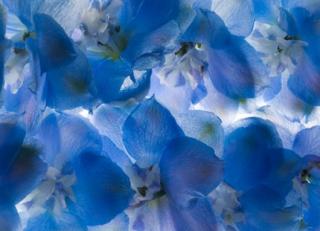 Фото - Обои Mr Perswall Fashion - 234787>