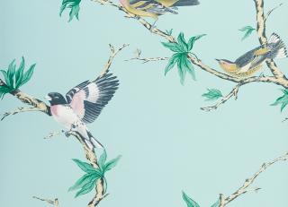 Фото - Обои Gaston y Daniela Origen Dos - 554552>