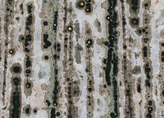 Фото - Обои Tecnografica Decora Resin - 341409>